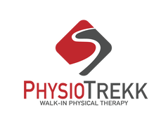 Logo for PhysioTrekk with link to the website built by Aesir Consulting LLC.